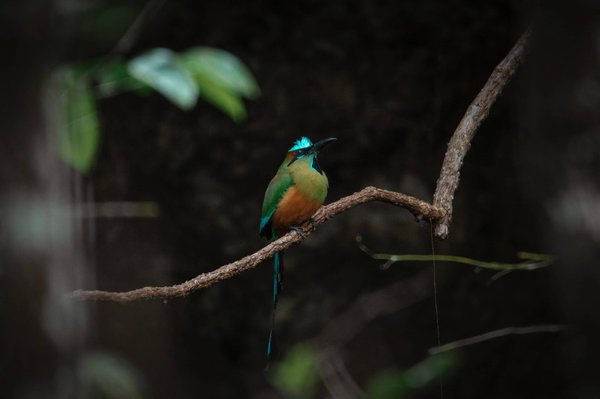 Comment perdre du poids sans faire de régime strict
