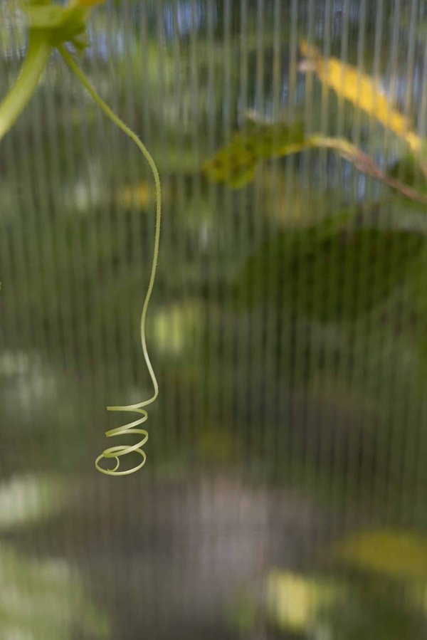 Comment le choix d'activités physiques peut-il être adapté à la capacité respiratoire ?