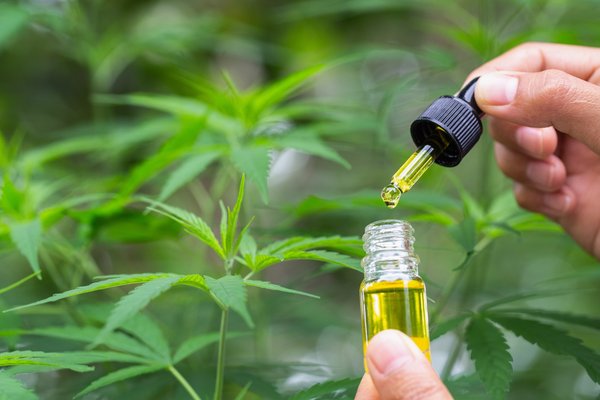 Comment choisir le meilleur site de CBD en France ?